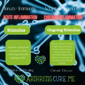 diseases of inflammation