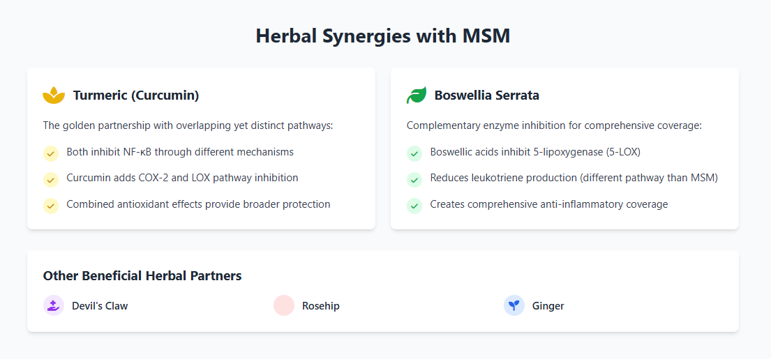 herbal synergies