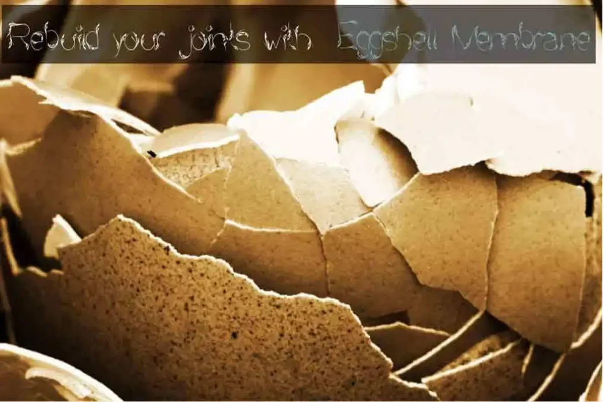 eggshell membrane for arthritis raw product