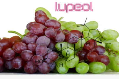 lupeo fight inflammation in arthritis